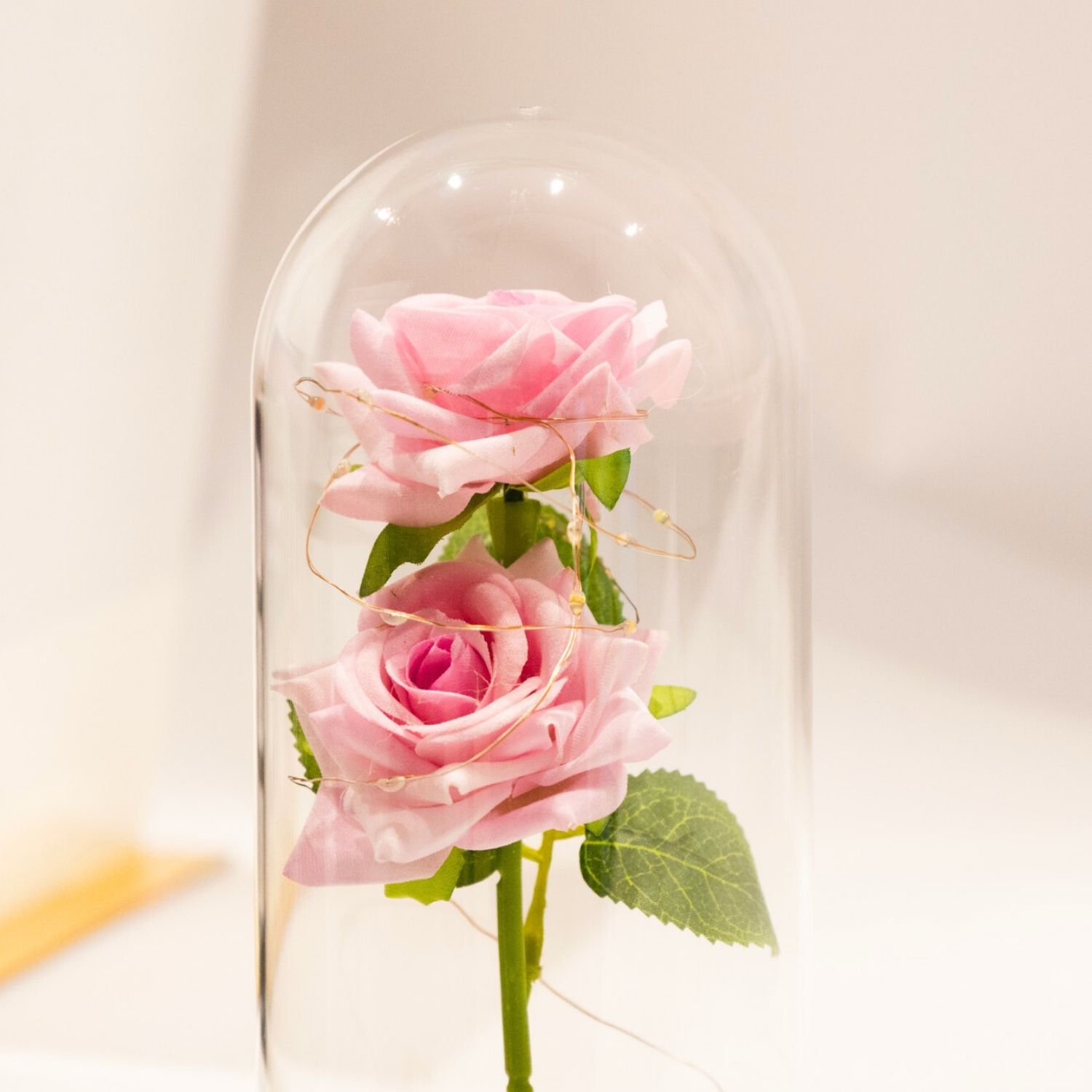 wieczna róża różowa